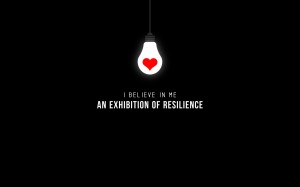 IBIM-Resilience